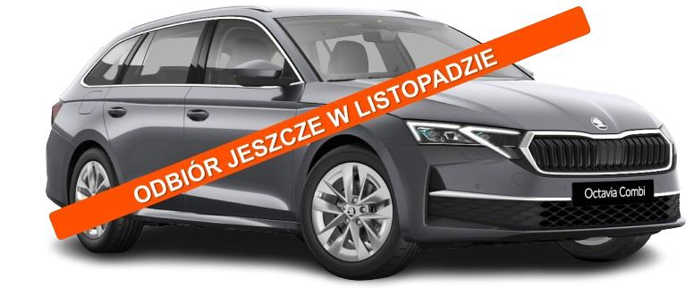 Skoda Octavia - listopad