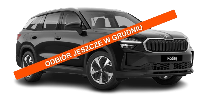 Skoda Kodiaq - grudzień