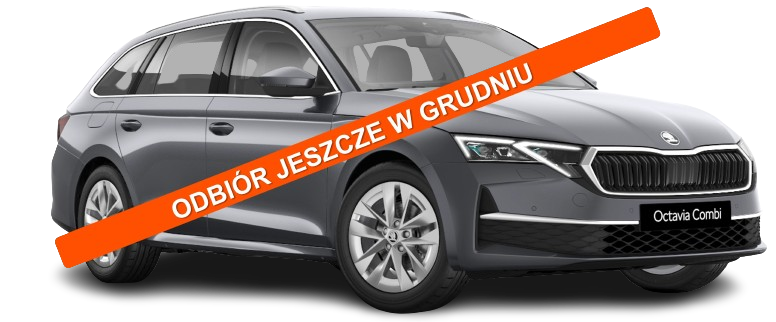 Skoda Octavia - grudzień
