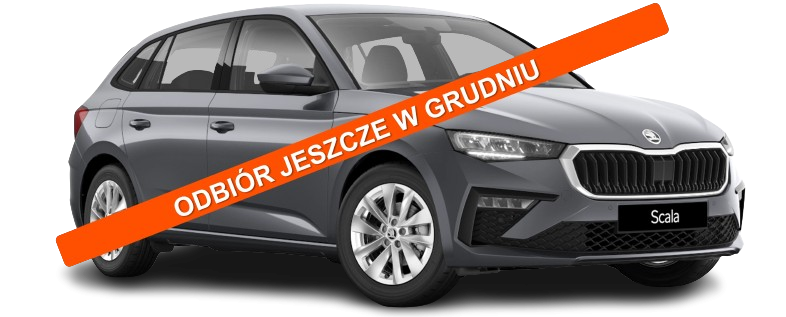 Skoda Scala - grudzień